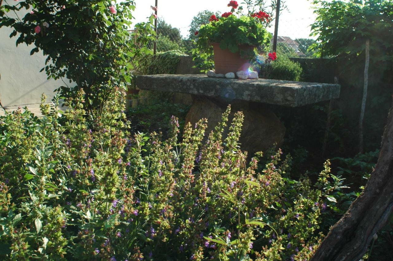 House Villa Mare Malinska Εξωτερικό φωτογραφία