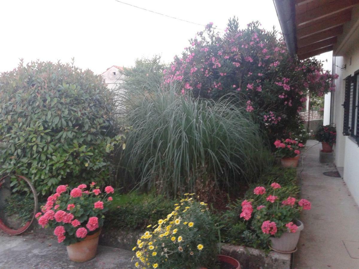 House Villa Mare Malinska Εξωτερικό φωτογραφία